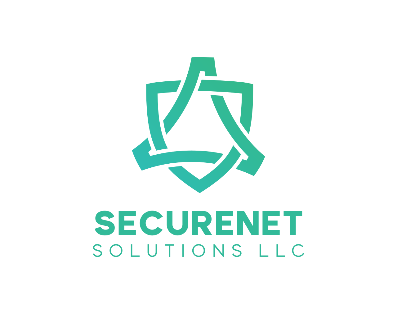 SecureNet Solutions LLC